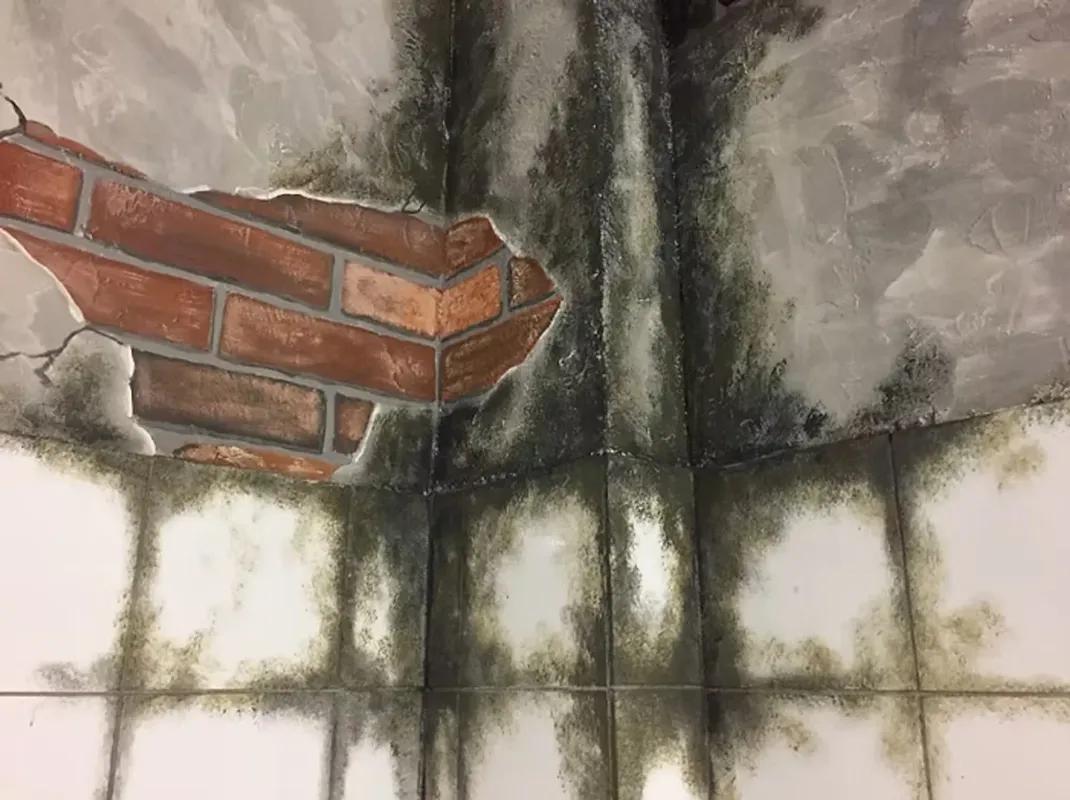 VIVRE OU MOURIR